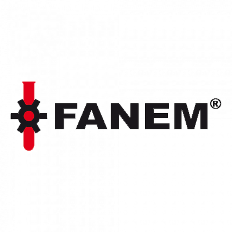 logo fanem